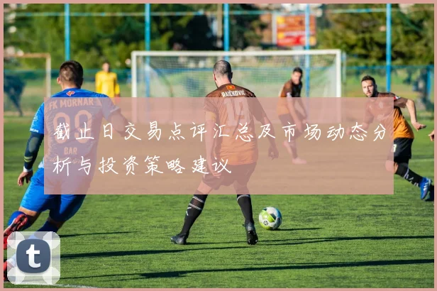 截止日交易点评汇总及市场动态分析与投资策略建议